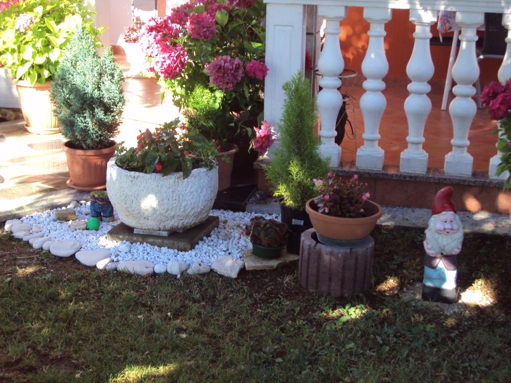 Apartment Gogo Umag Pokój zdjęcie