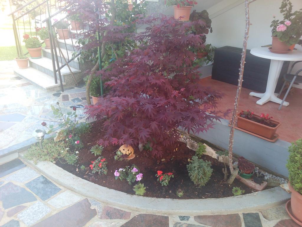 Apartment Gogo Umag Zewnętrze zdjęcie